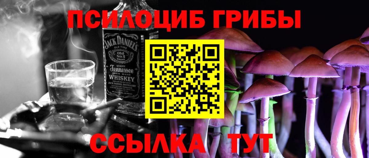 Псилоцибиновые грибы Psilocybine cubensis Бутурлиновка