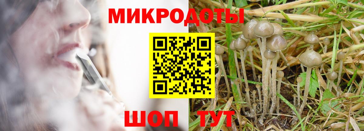 Бутурлиновка  Псилоцибиновые грибы мицелий  Вход с VPN 
